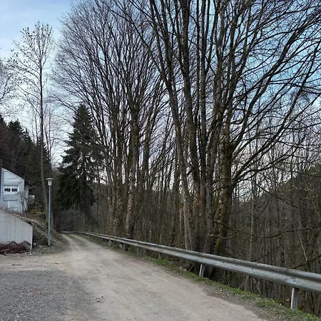 Schoene Nahe Zentrum, Skipiste, Eishalle Apartment *