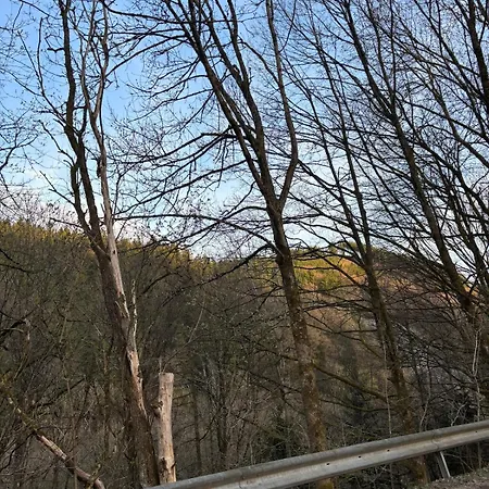 Schoene Nahe Zentrum, Skipiste, Eishalle * Willingen (Upland)